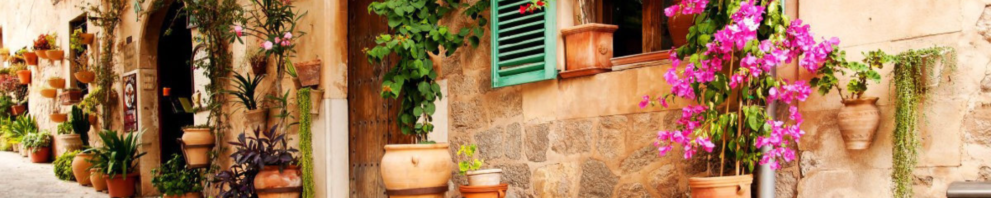 . Inmobiliaria JM Casas Y Fincas en Ronda