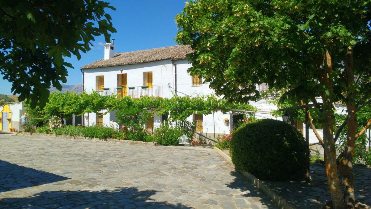 Gestión profesional de la venta de su inmueble. Inmobiliaria JM Casas Y Fincas en Ronda